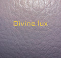 Divine lux Blush
